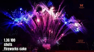 লিউয়াং 100 শট প্রফেশনাল ডিসপ্লে আতশবাজি কেক 1.3G UN0335 পাইরোটেকনিক