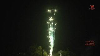 চাইনিজ নববর্ষের ক্রিসমাস ফেস্টিভ্যাল পাইরোটেকনিকস 1.75 ইঞ্চি একক শট আতশবাজি