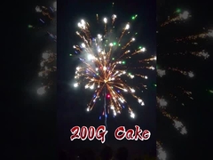 চীনা রপ্তানি উচ্চ মানের 16 শট 200 গ্রাম কেক ফায়ারওয়ার্ক 1.4 গ্রাম Un0336 ফায়ারওয়ার্ক