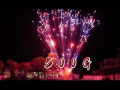 ফায়ারওয়ার্ক পাইরোটেকনিক্স চাইনিজ কারখানা ১.২ ইঞ্চি ২৪ শট কেক ফায়ারওয়ার্ক উদযাপনের জন্য