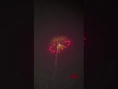 1.3g পাইরোটেকনিকস ফায়ারওয়ার্ক আর্টিলারি স্যালুট শেল ক্যানিস্টার 4 ইঞ্চি প্রদর্শন শেল ফায়ারওয়ার্ক