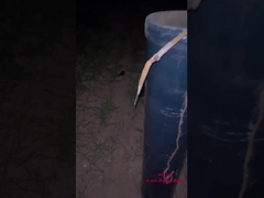 নববর্ষ উদযাপনের জন্য চীনা পেশাদার আতশবাজি 6 ইঞ্চি বল প্রদর্শন শেল