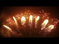 ম্যান্ডারিন ফায়ারওয়ার্কস পাইরোটেকনিক্স 65 শট ফ্যান আকৃতির আতশবাজি