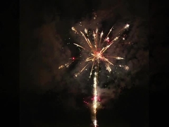 লিউয়াং স্পেশাল ইফেক্ট প্রফেশনাল কেক ফায়ারওয়ার্কস পাইরোটেকনিক্স 100 শট