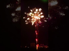 লিউয়াং পাইরোটেকনিক্স আতশবাজি 196 শট পেশাদার কেক আতশবাজি বিশেষ প্রভাব প্রদর্শন