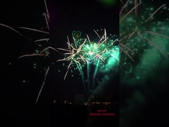 চীনা বড় ডিসপ্লে কেক পেশাদার উপলক্ষ আতশবাজি 256 হ্যালোইন জন্য শট