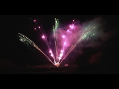 চাইনিজ পাইরোটেকনিক আউটডোর 300 শট পেশাদার আতশবাজি প্রদর্শন 1.3g ফ্যান আকৃতির