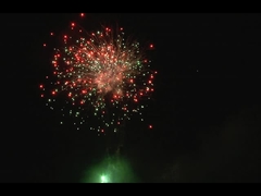 ক্রিসমাস উৎসব আউটডোর পেশাদার কেক ফায়ারওয়ার্ক কাস্টমাইজযোগ্য 49 শট