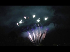 ম্যান্ডারিন ডিসপ্লে ৯০ শট স্যালুট পাইরোটেকনিক্স পেশাদার কেক পার্টির জন্য ফায়ারওয়ার্ক