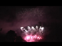 লিউয়াং ৫৬ শট পেশাদার ফায়ারওয়ার্ক প্রদর্শনী ১.৩ গ্রাম Un0335 উৎসব উদযাপনের জন্য