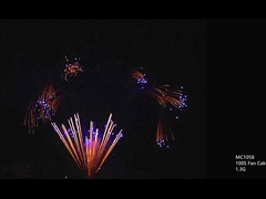 সিই 100 150 300 500 600 1000 শট পেশাদার কেক ফায়ারওয়ার্ক কাস্টমাইজযোগ্য