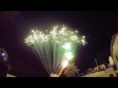 ডিসপ্লে প্রফেশনাল বিগ পাইরোটেকনিক 49 শট কেক আতশবাজি স্যালুট