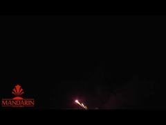 পাইরোটেকনিক ম্যান্ডারিন নাম ফায়ারওয়ার্ক প্রদর্শনী পেশাদার কেক স্যালুট পাইরোটেকনিক 100 শট