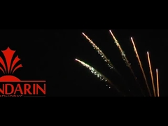 স্যালুট পাইরোটেকনিক্স পেশাদার আতশবাজি প্রদর্শন 100 শট 1.3g Un0335