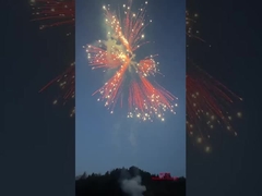 লিউয়াং সিলভার পনিটেইল ফায়ারওয়ার্ক কেক ২০২৪ চীনা কারখানা ফায়ারওয়ার্ক এবং ফায়ারওয়ার্ক ভোক্তা কেক