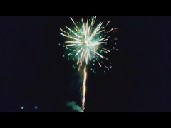 উদযাপনের জন্য লিউয়াং আউটডোর বড় গ্রাহক কেক ফায়ারওয়ার্ক 209 শট কেক ফায়ারওয়ার্ক