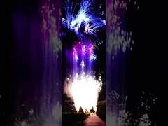 চীনা কাস্টমাইজড 100 শট পাইরোটেকনিক ক্রেতা কেক ফায়ারওয়ার্ক নতুন বছরের জন্য