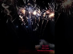 চীন পাইরোটেকনিক্স 98 শট ভোক্তা ক্রিসমাস নববর্ষের কেক ফায়ারওয়ার্ক & ফায়ারক্র্যাকার