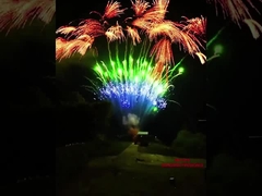 ম্যান্ডারিন কাস্টমাইজড ক্রেতা কেক ফায়ারওয়ার্ক বিশেষ প্রভাব 2023