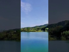 উদযাপনের জন্য দিনের সময় 49 শট চাইনিজ কেক আতশবাজি রঙিন ধোঁয়া আতশবাজি