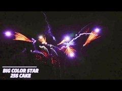 25 শট ক্রেতা কেক ফায়ারওয়ার্ক ফ্যান আকৃতি পাইরোটেকনিক 1.4g Un0336