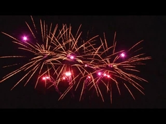 আউটডোর 20 শট উদযাপন কেক পাইরোটেকনিক্স ফ্যান আকৃতির কাস্টমাইজড 1.4g