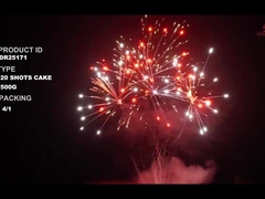 লিউয়াং ২০ শট ৫০০ গ্রাম কাস্টমাইজড কেক ফায়ারওয়ার্কস নববর্ষের জন্য