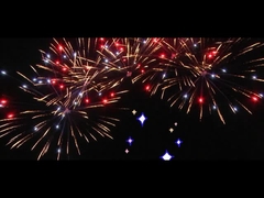 চীনা 25 শট ফ্যান কেক আতশবাজি উদযাপনের জন্য কাস্টম আউটডোর আতশবাজি