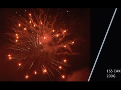 ম্যান্ডারিন ২০২১ নতুন ১৬ শট ২০০ গ্রাম কেক ফায়ারওয়ার্ক উদযাপন পার্টির জন্য