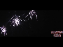 ম্যান্ডারিন 162 শট ক্রেতা পিষ্টক উৎসব উদযাপন জন্য ফায়ারওয়ার্ক