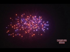 ম্যান্ডারিন ১.৪ গ্রাম Un0336 ২২ শট ভোক্তা কেক ফায়ারওয়ার্ক