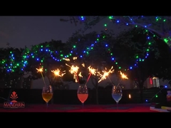 বিয়ের ৭'ইঞ্চি নিওন স্পার্কলারস, মাল্টি কালার স্পার্কলারস গোল্ডেন স্পার্কলারস এফেক্ট সহ