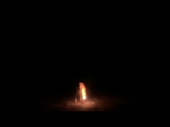 1.4g Un0336 Evil Bee Fountain Fireworks Outdoor Toy Fireworks for Party