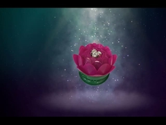 সুন্দর মাটি ঘূর্ণন লোটাস ফায়ারওয়ার্ক / জন্মদিনের খেলনা ফায়ারওয়ার্ক