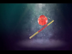 লণ্ঠন লাল খেলনা ফায়ারওয়ার্ক, নববর্ষের সুন্দর ফায়ারওয়ার্ক স্যালুট