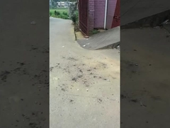 ম্যাজিক্যাল বল খেলনা আতশবাজি 0.03CBM পরিবেশ সুরক্ষা উদযাপন সভা জন্য