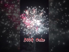 লিউইয়াং কারখানা ২০ শট কেক ফায়ারওয়ার্ক চীনা পাইকারি রপ্তানি বিবাহের জন্য পাইরোটেকনিক্স