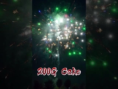 চীনা কারখানা পাইকারি রপ্তানি ফায়ারওয়ার্ক 16 শট 200 জি কেক ফায়ারওয়ার্ক ভোক্তা কেক ফায়ারওয়ার্ক 2025