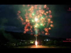 ম্যান্ডারিন ফায়ারওয়ার্ক 1.3g Un0335 পাইরোটেকনিক্স পেশাদার প্রদর্শন কেক ফায়ারওয়ার্ক আউটডোর