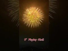 উৎসব ও উদযাপন ২.৫.৩.৪.৫.৬.৮ ইঞ্চি ডিসপ্লে শেল ১.৩ গ্রাম পেশাদার ফায়ারওয়ার্ক