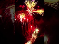 কারখানা লিউইয়াং ম্যান্ডারিন কাস্টমাইজড ১৭৮ শট পাইরোটেকনিক্স ১.৪ জি গ্রাহক কেক ফায়ারওয়ার্ক নববর্ষের জন্য