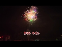 কারখানার পাইকারি আতশবাজি ২০২৫ চীনা আউটডোর ১০০ শট পেপার কেক ফায়ারওয়ার্কস উৎসবের জন্য