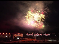 নতুন আগমনের আতশবাজি