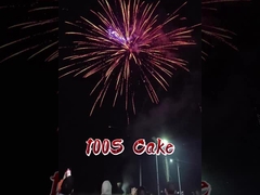 ২০২৫ চাইনিজ ফ্যাক্টরি ১০০ শট পেপার কেক ফায়ারওয়ার্কস FAFBWL পাইকারি পাইরোটেকনিক্স নতুন ফায়ারওয়ার্কস