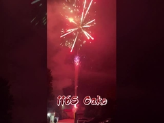 লিয়াংইয়াং ফ্যাক্টরি ১১৬ শট ফায়ারওয়ার্কস পাইকারি আতশবাজি চীনা আউটডোর কেক ফায়ারওয়ার্কস