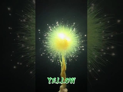 চীনা কারখানার পাইকারি রঙিন ধোঁয়া আতশবাজি দিনের বেলা আতশবাজি বিবাহের উৎসবের ধোঁয়া ফ্লেয়ার সি