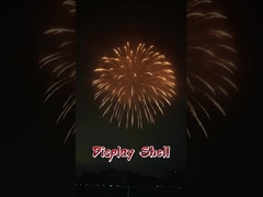 লিউইয়াং উচ্চমানের ১.৩ জি পেশাদার মর্টার পাইরোটেকনিক প্রদর্শনী আর্টিলারি শেল ফায়ারওয়ার্ক