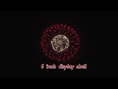 পেশাদার ১.৩ গ্রাম আতশবাজি ২