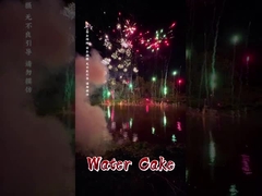 চীনা কারখানা লিউইয়াং ম্যান্ডারিন কাস্টমাইজড 1.4g ভোক্তা ফায়ারওয়ার্ক জল কেক ফায়ারওয়ার্ক কেক