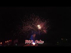 Chinese Factory Mandarin Customized Consumer Fireworks 100 Shots Fireworks Cake Pyrotechnics